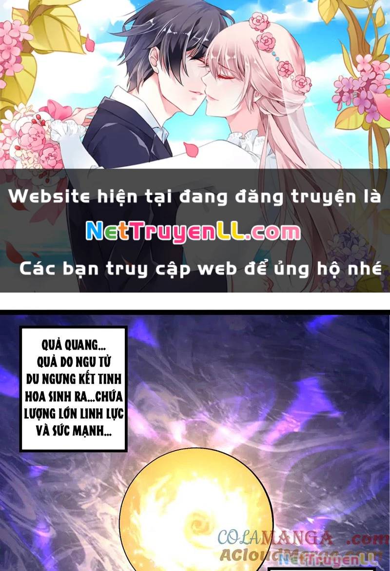 Chương 261