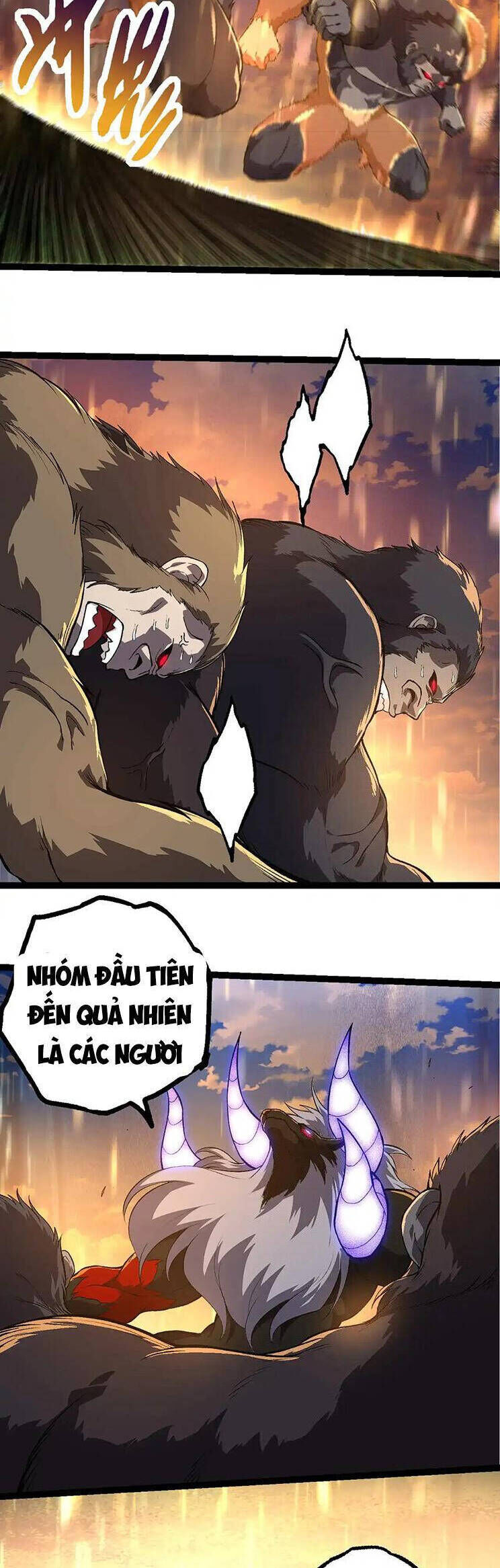 Chương 264