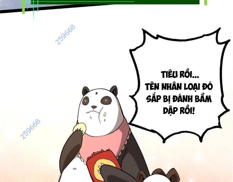Chương 266