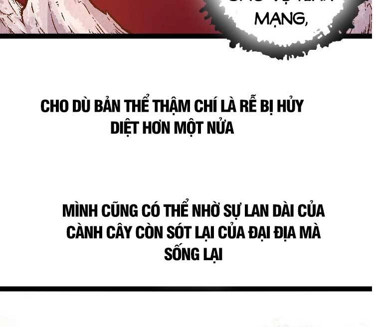 Chương 28