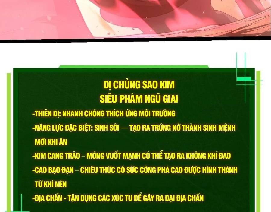 Chương 278