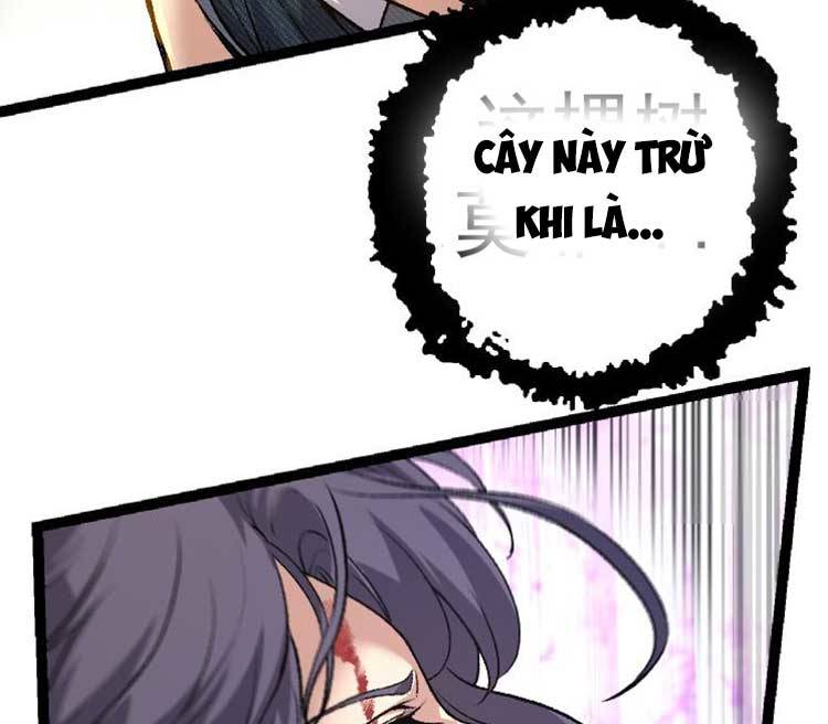Chương 30