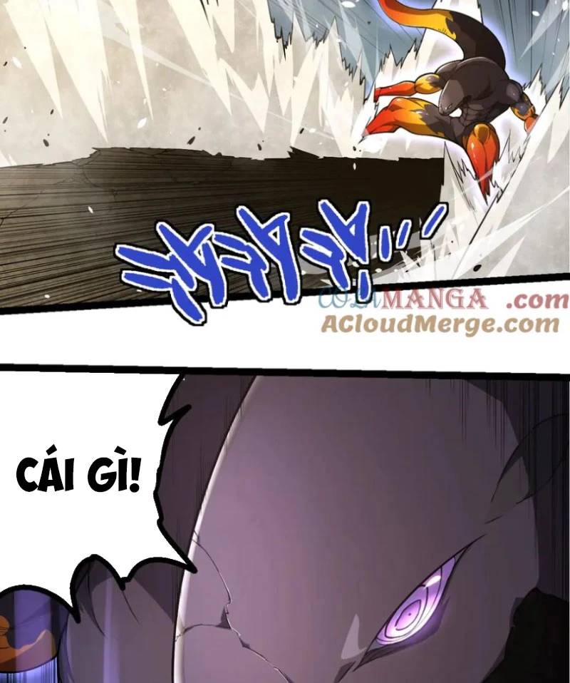 Chương 304