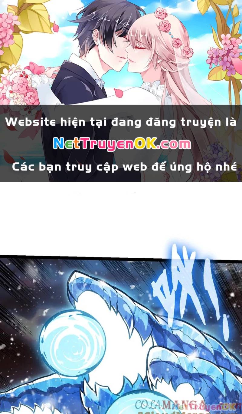 Chương 310
