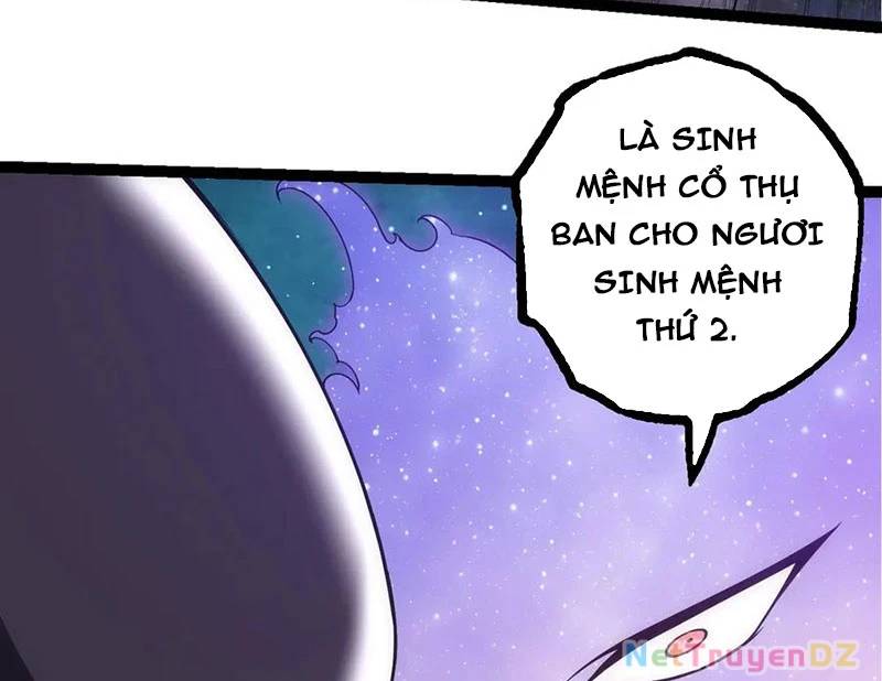 Chương 311