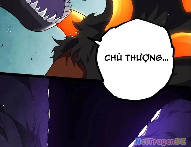 Chương 311