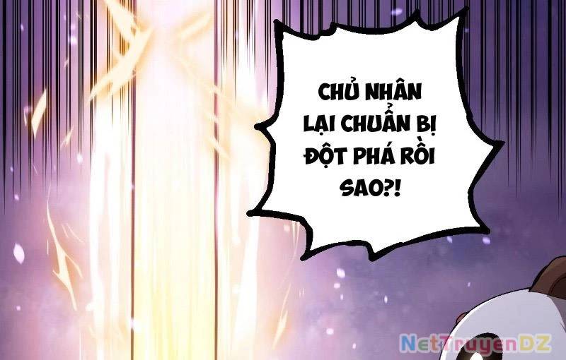 Chương 312