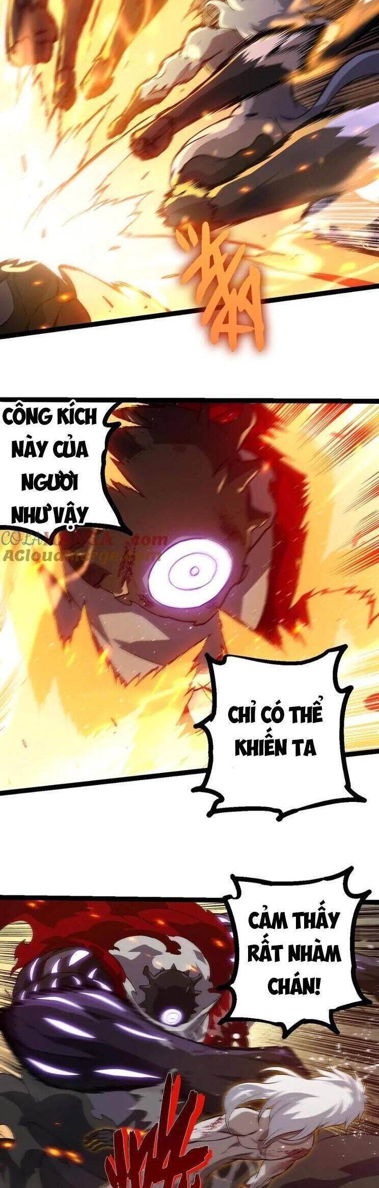 Chương 315