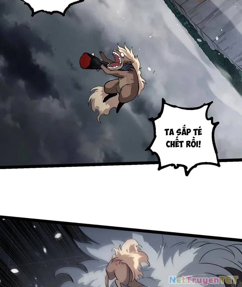Chương 325