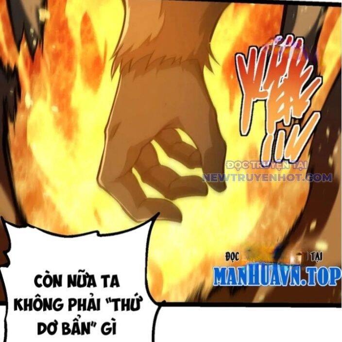Chương 330