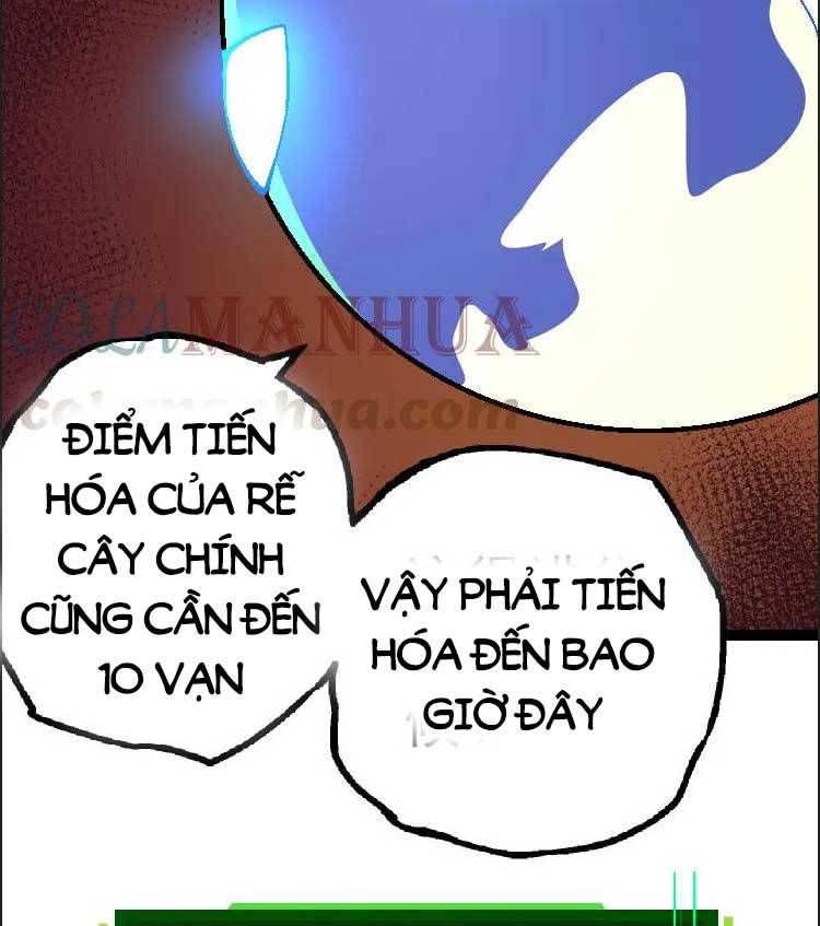 Chương 39
