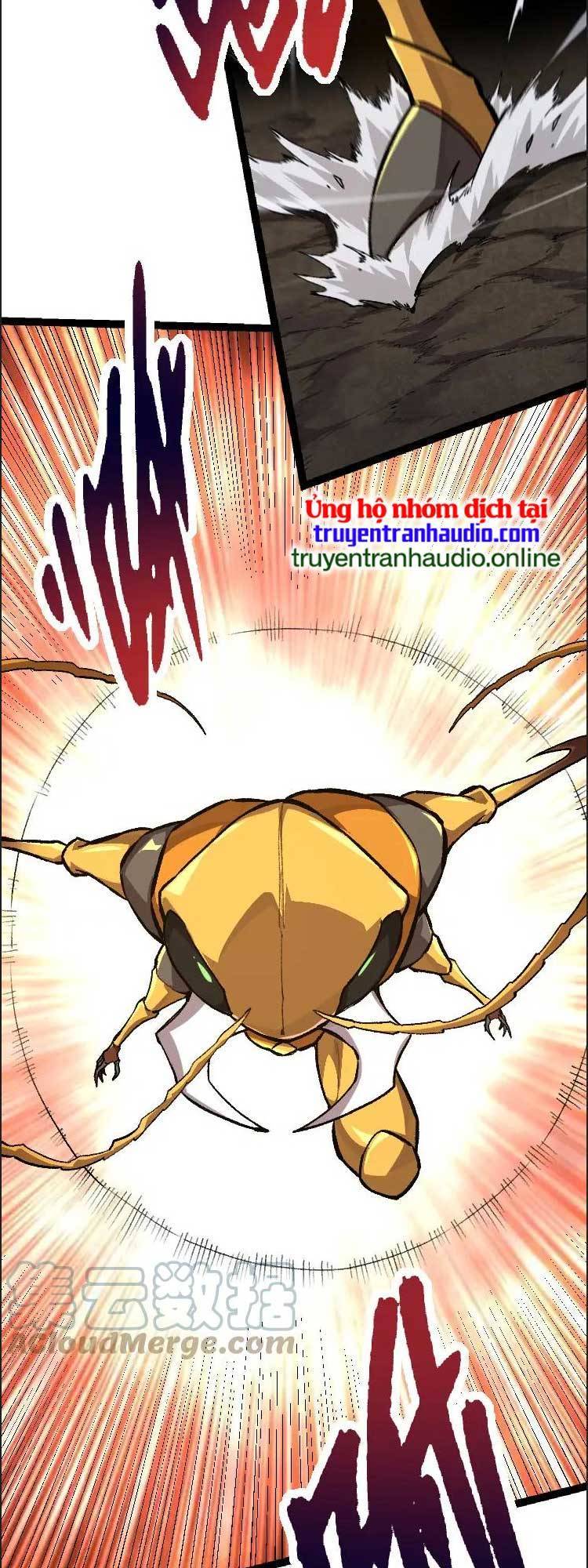 Chương 40