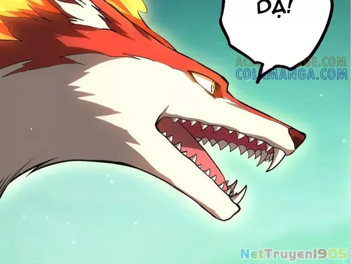 Chương 404