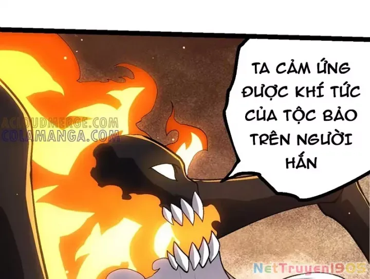 Chương 404