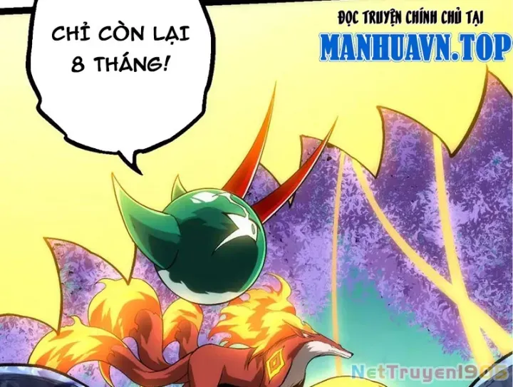 Chương 404