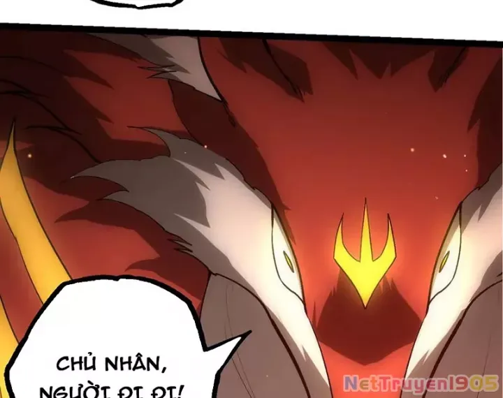 Chương 404