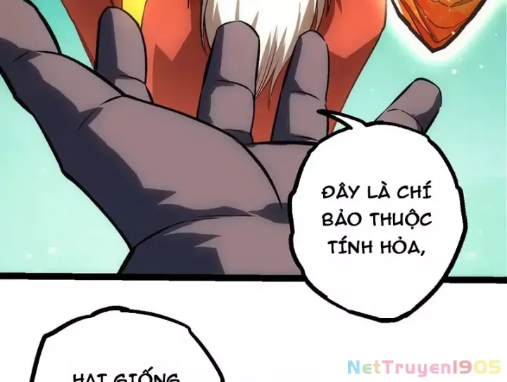 Chương 404