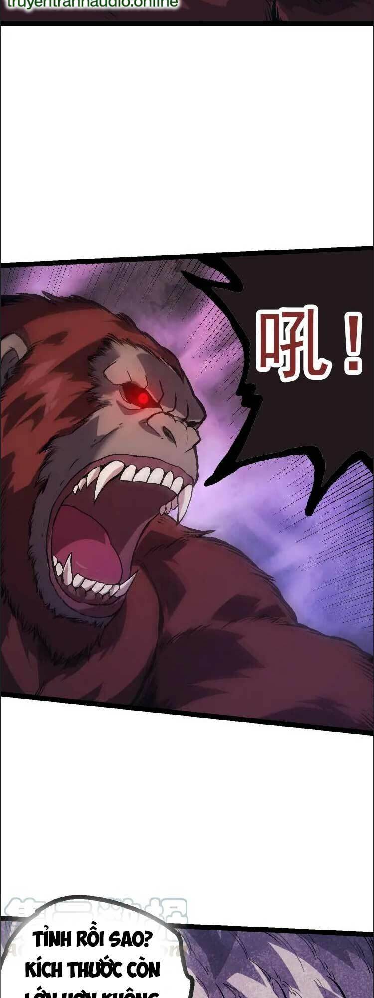 Chương 41