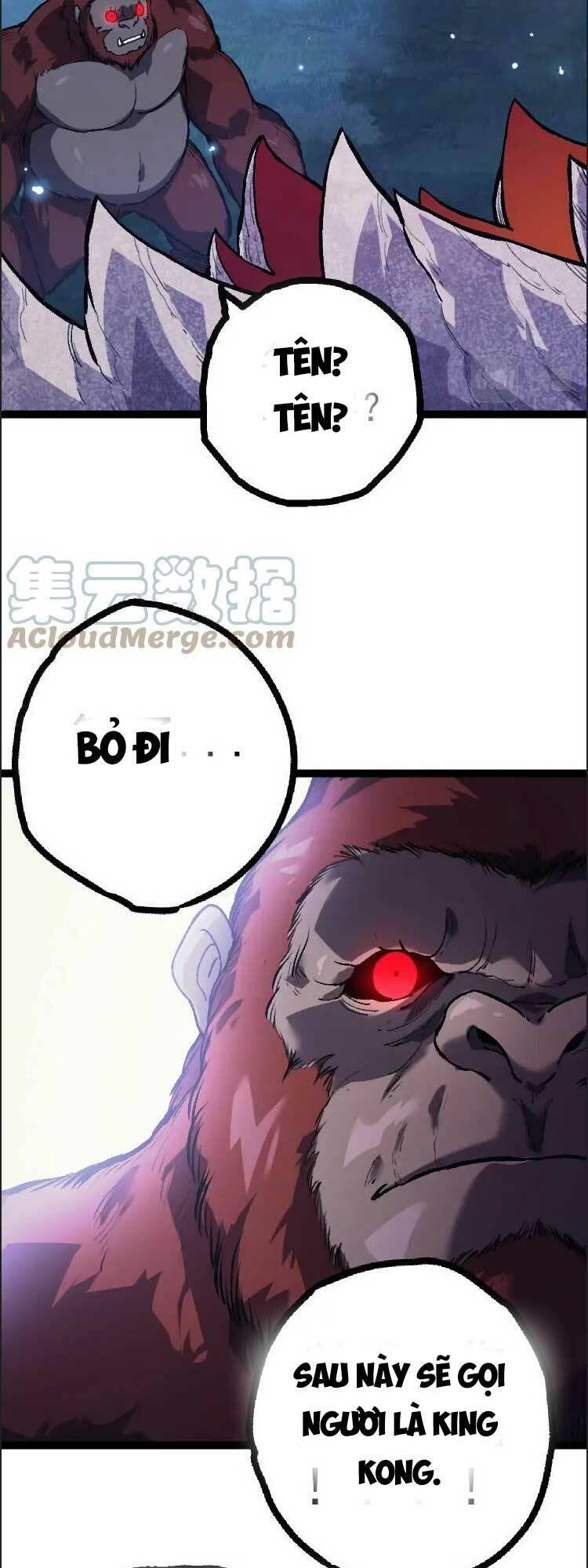 Chương 41