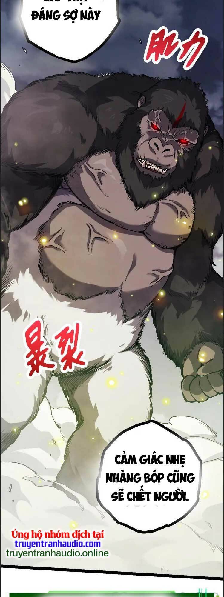 Chương 41