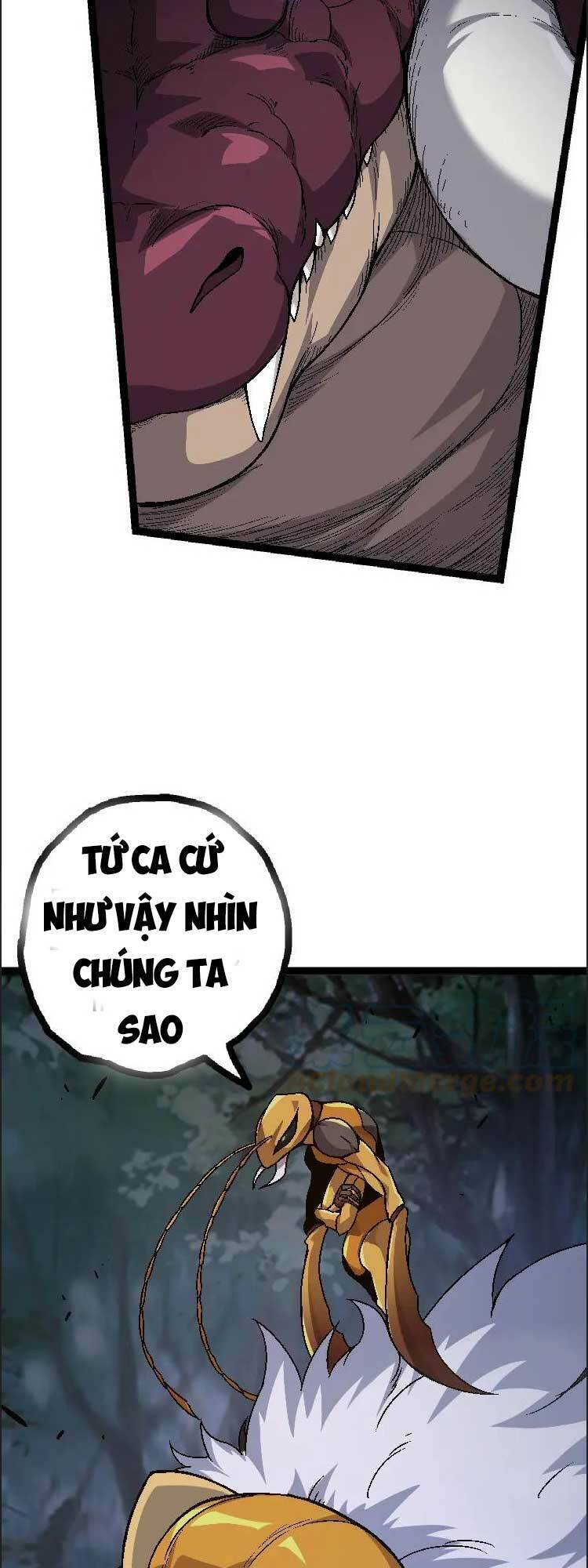 Chương 42
