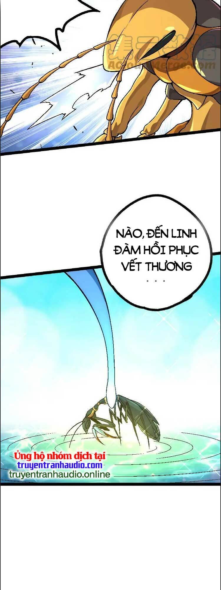 Chương 42