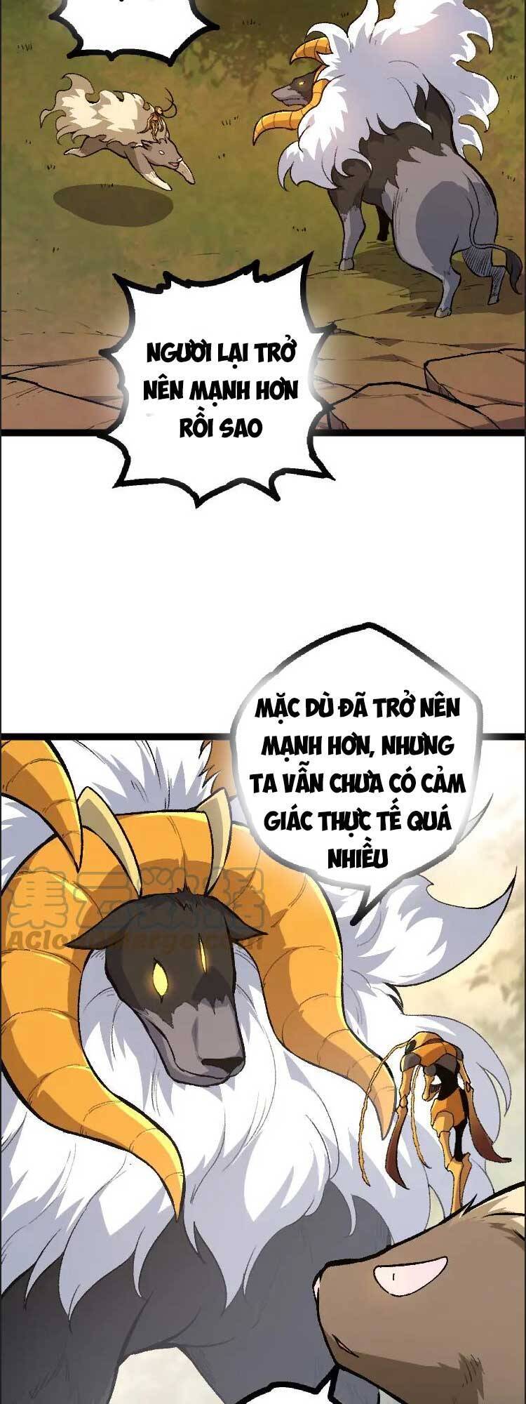 Chương 43