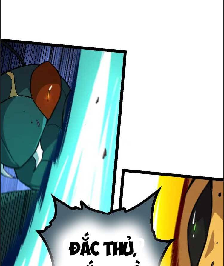 Chương 43