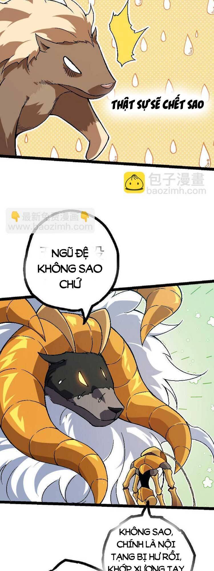 Chương 44