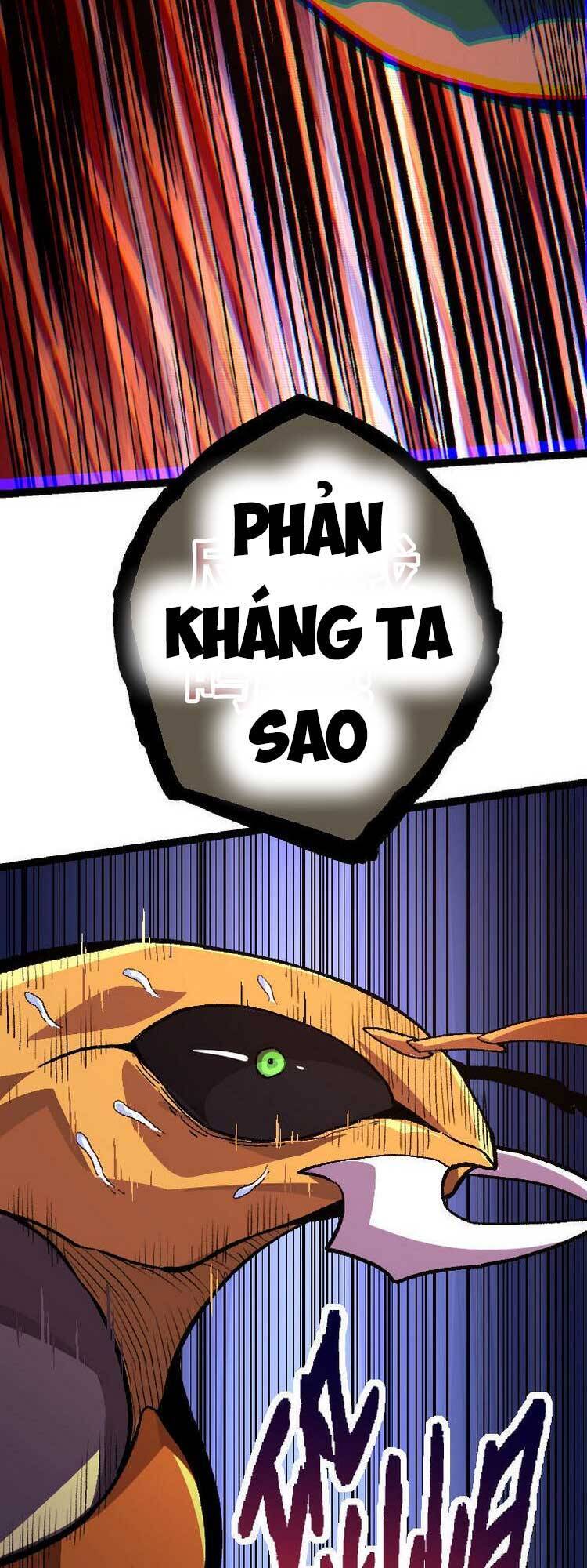 Chương 46