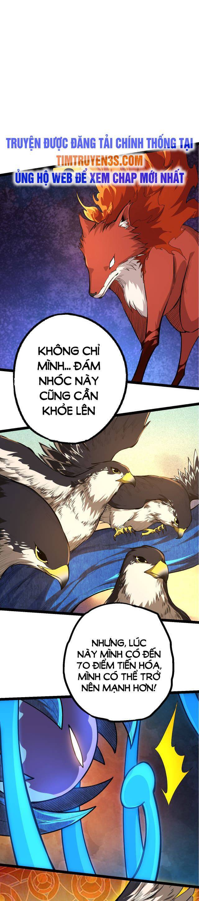 Chương 5