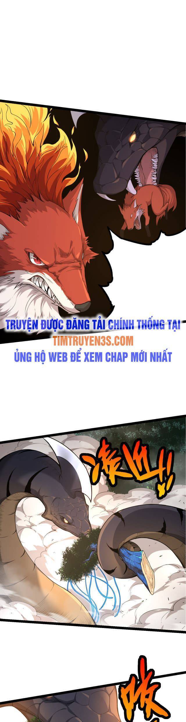 Chương 5