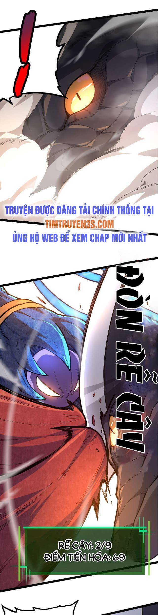Chương 5