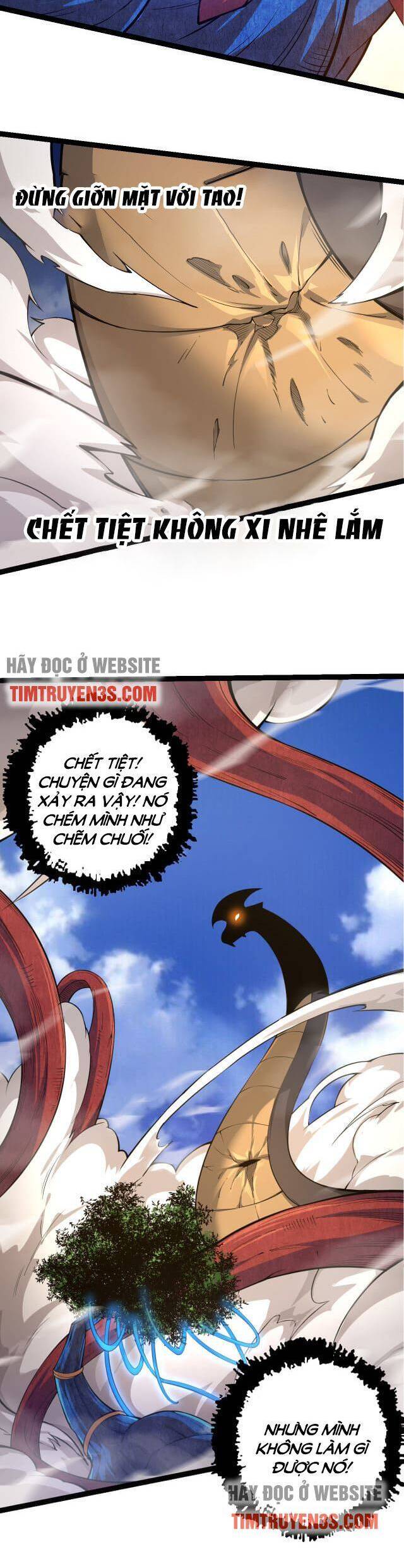 Chương 5