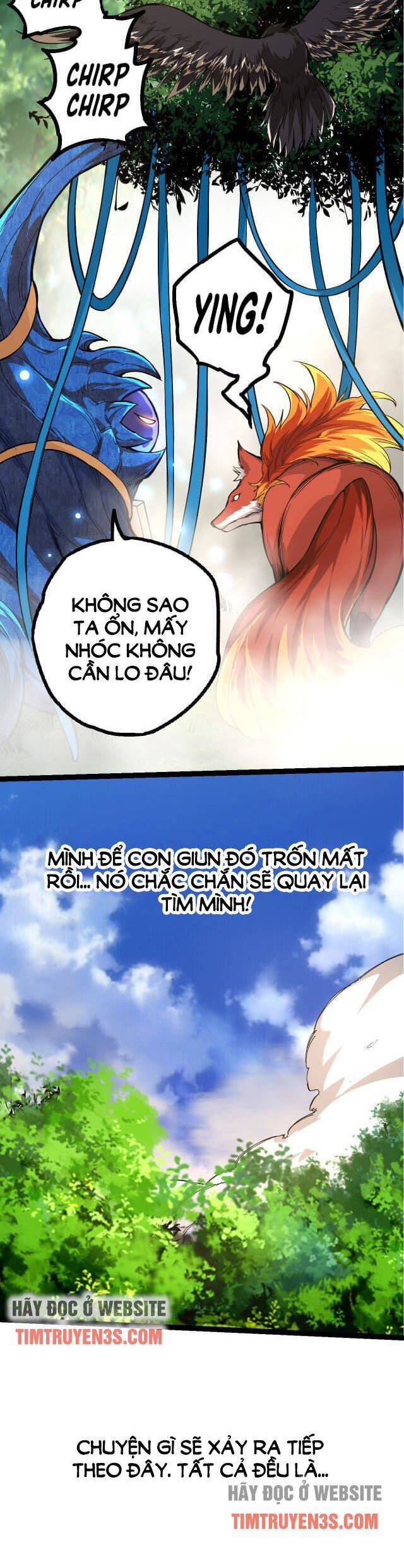 Chương 5