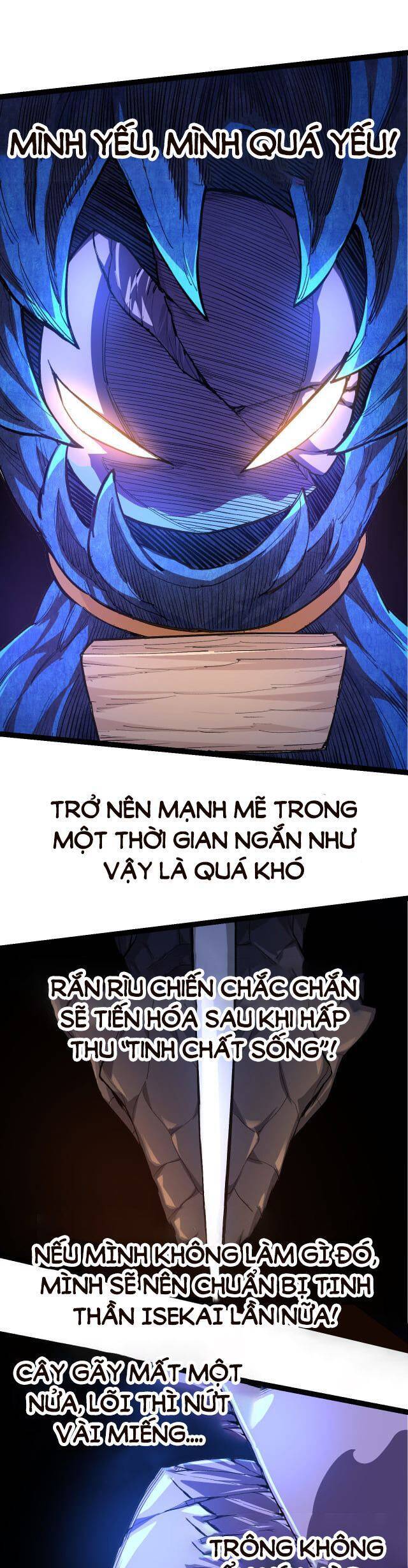 Chương 5