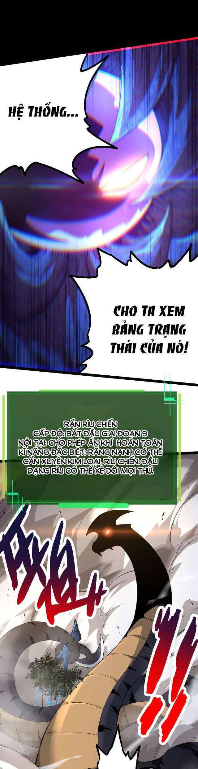 Chương 5