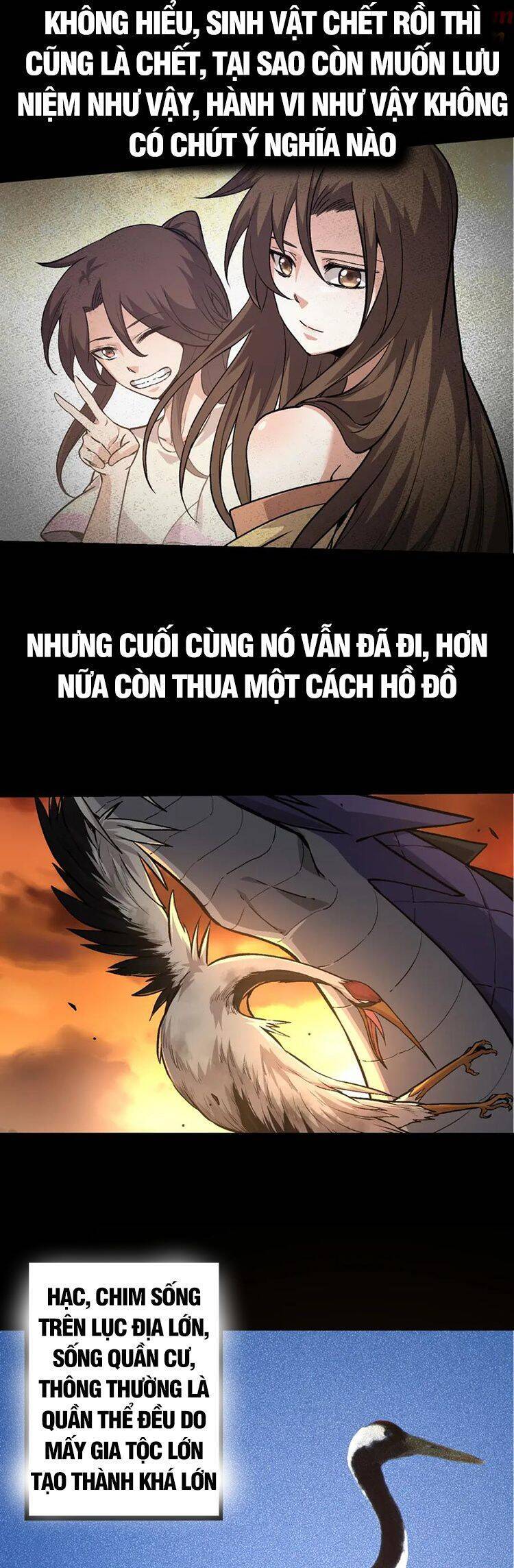 Chương 54