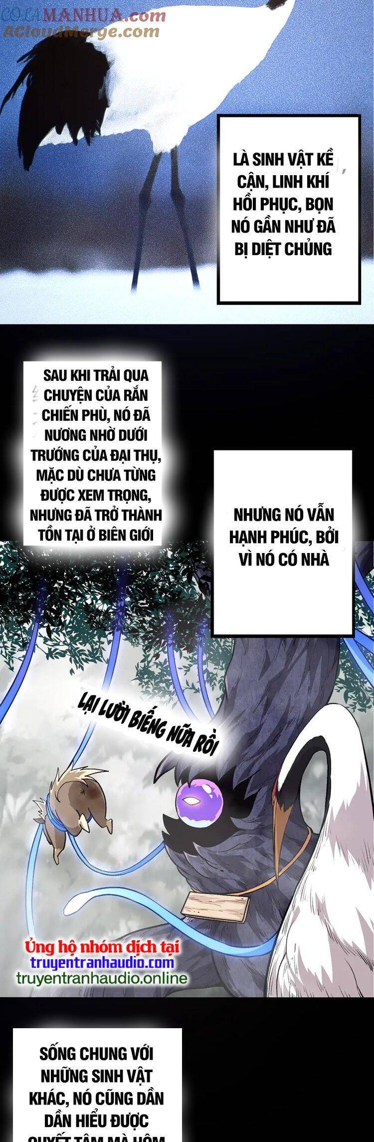 Chương 54