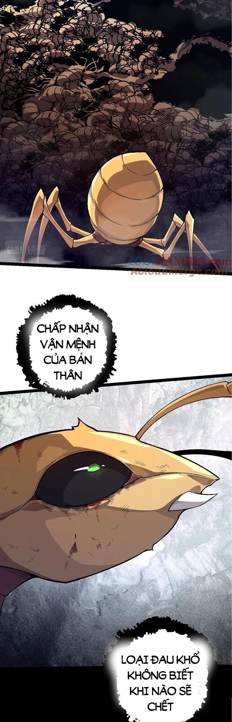 Chương 59
