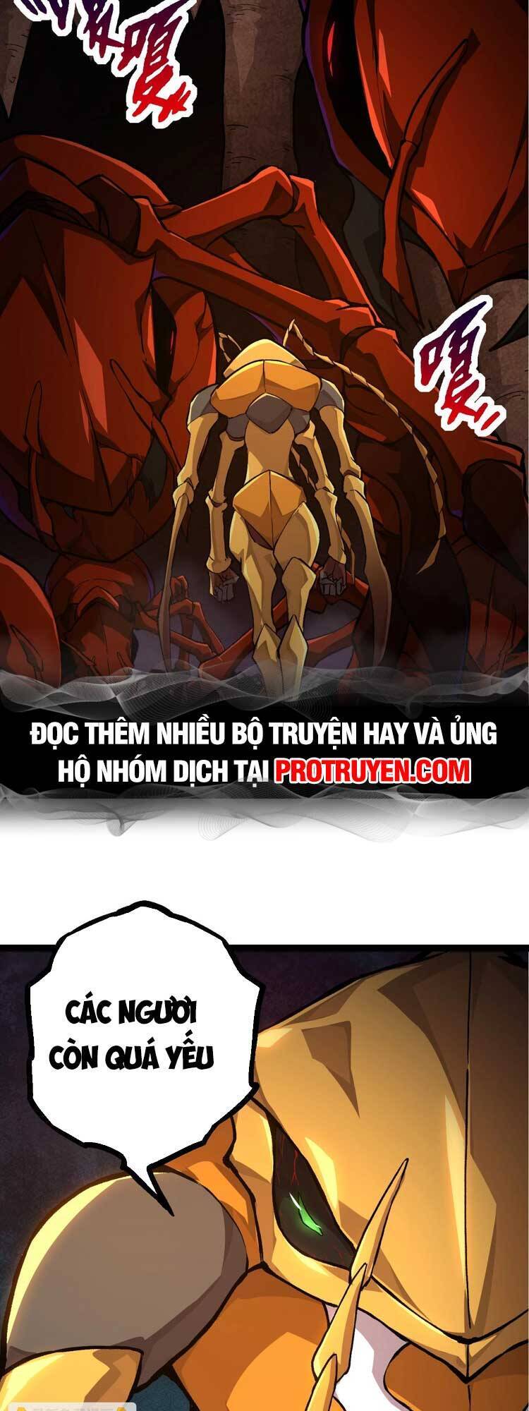 Chương 71