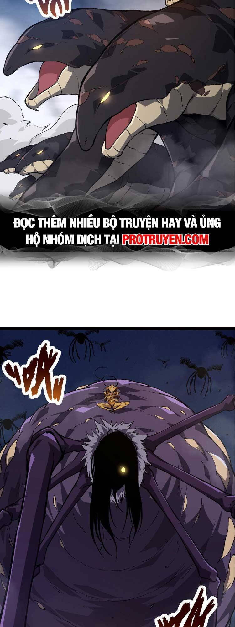 Chương 71