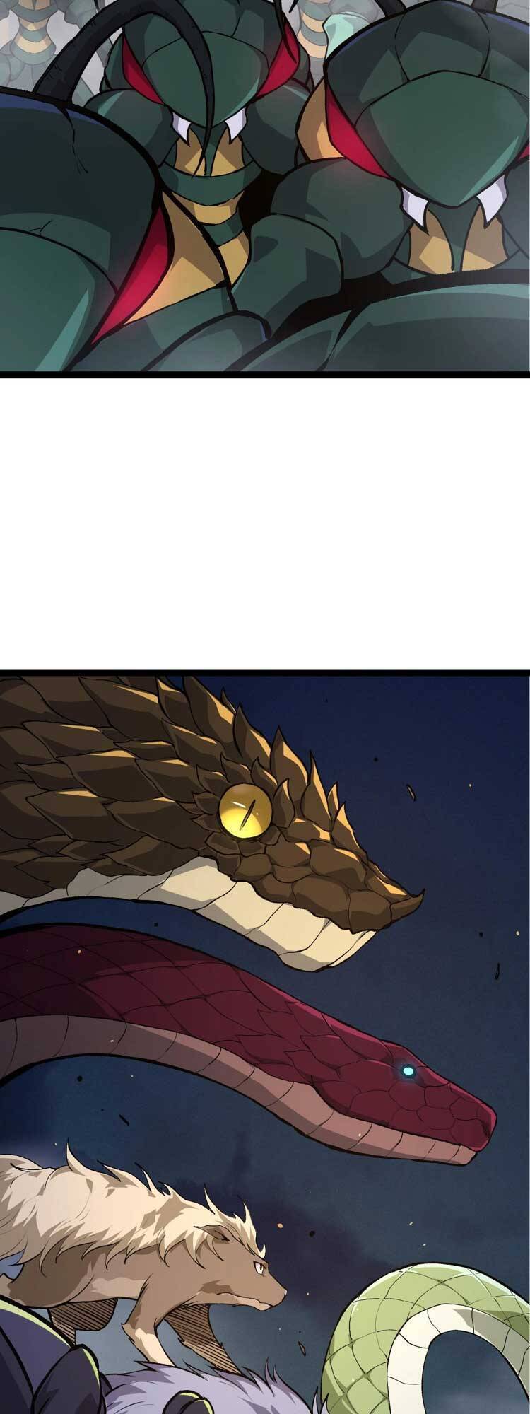 Chương 71