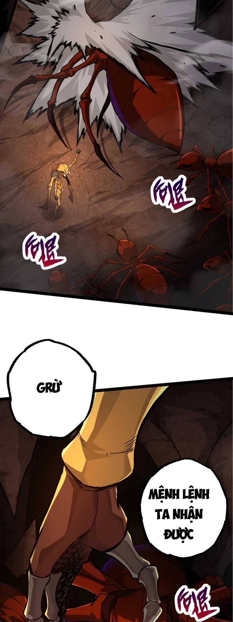 Chương 71