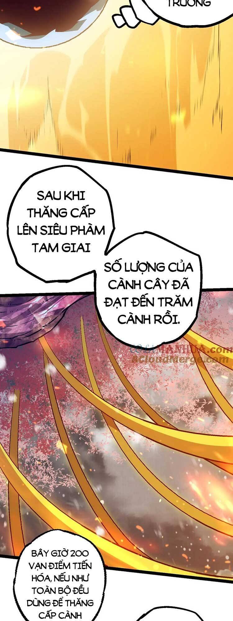 Chương 80