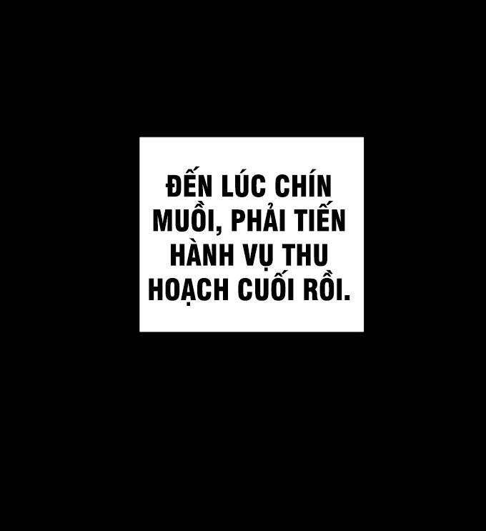 Chương 20