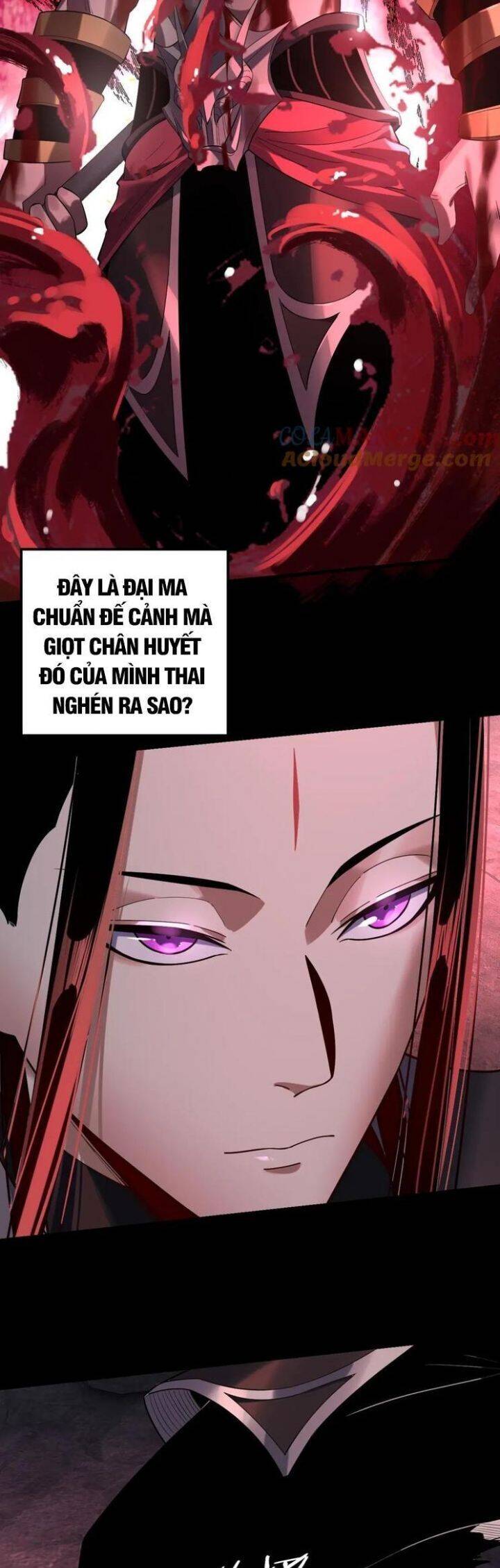 Chương 248