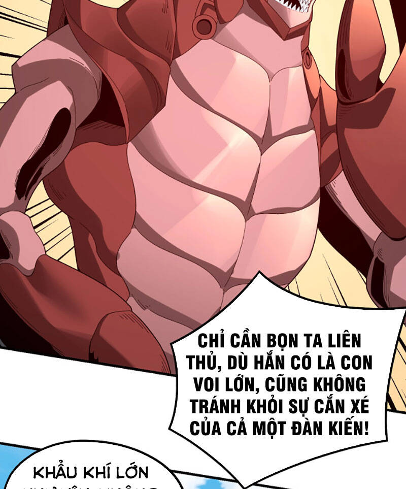Chương 43