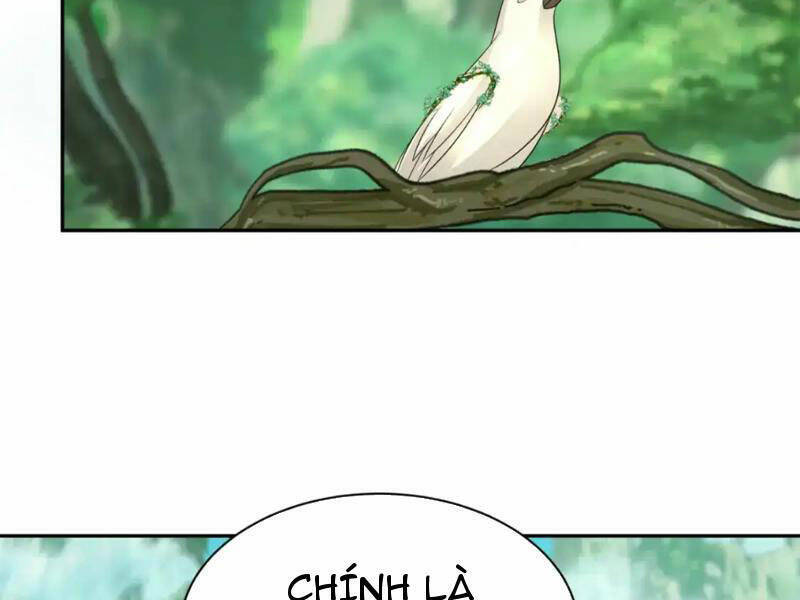 Chương 213