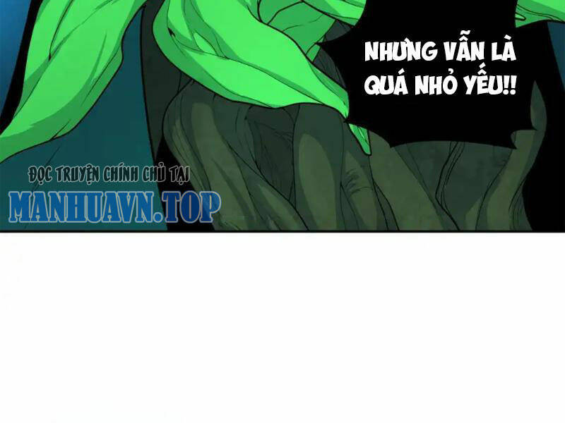 Chương 219